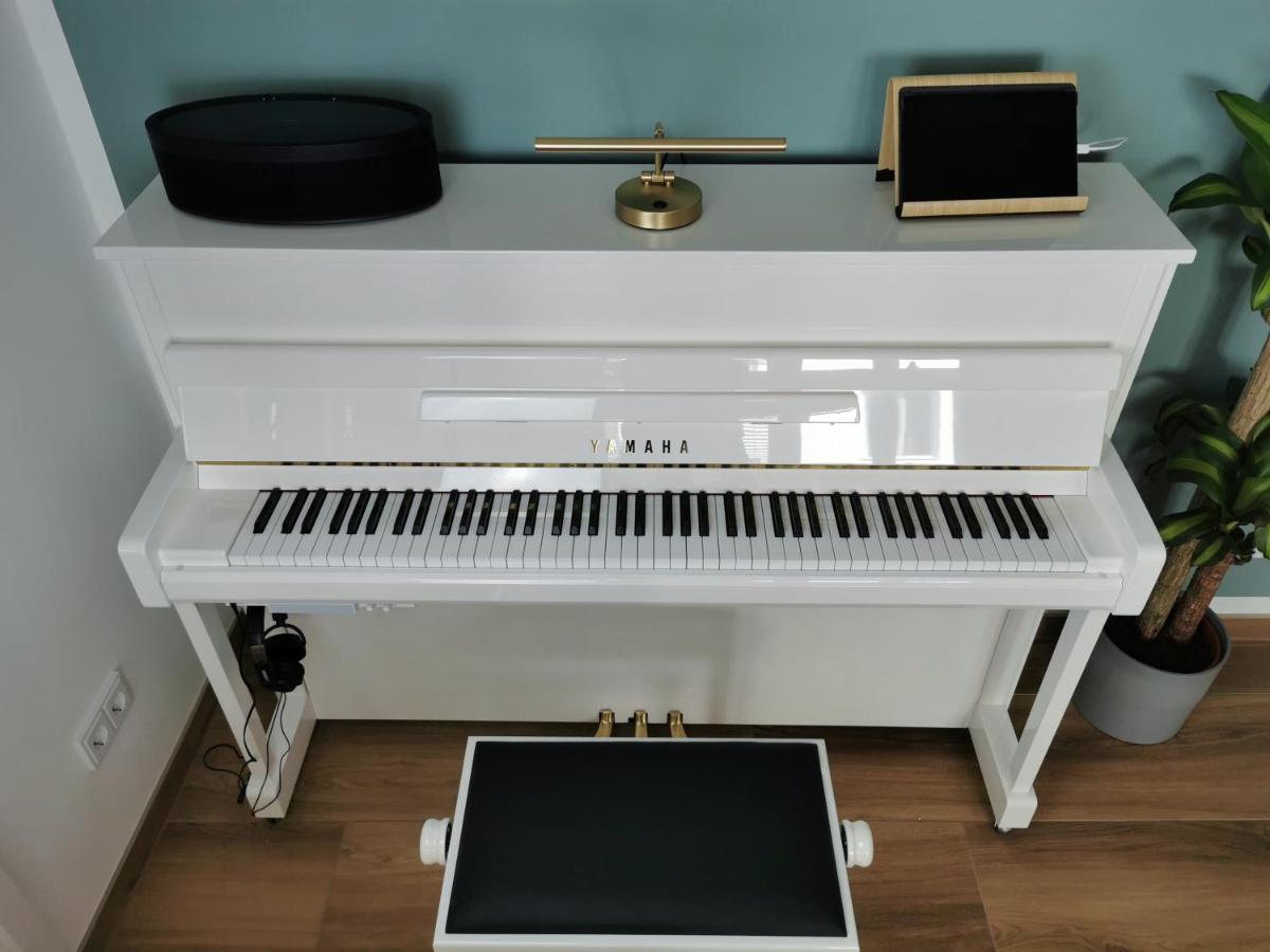 Neues City Center Piano Appartement Mit Netflix 克拉根福 外观 照片